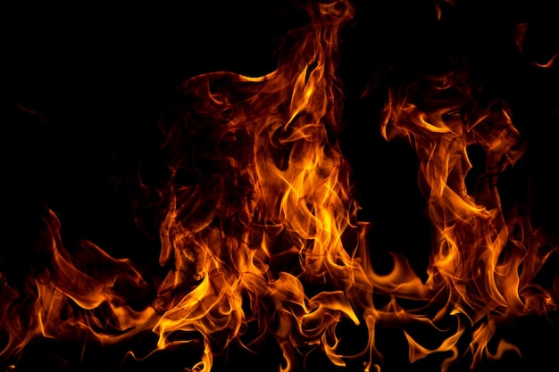 Feuerflammen isoliert auf schwarzem Hintergrund Feuer brennen Flamme isoliert flammend brennendes Kunst-Design-Konzept