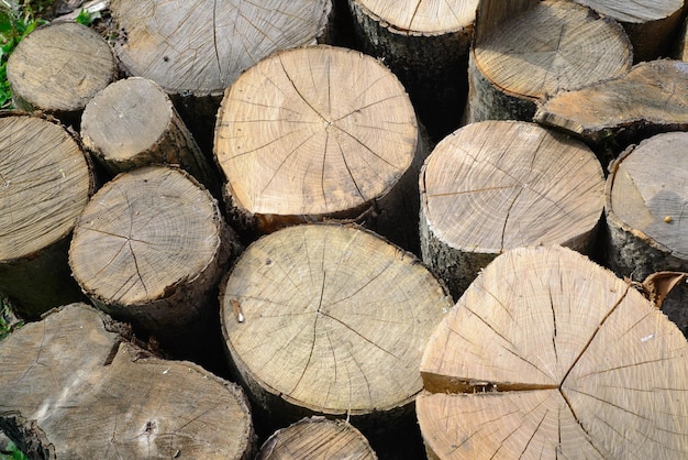 feuerhölzer auf dem boden zusammengefaltete holzstämme