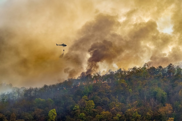 Feuerwehrhubschrauber, der Wasser auf Waldbrand fallen lässt