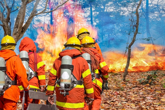 Feuerwehrleute, die Ausrüstung im Wald vorbereiten