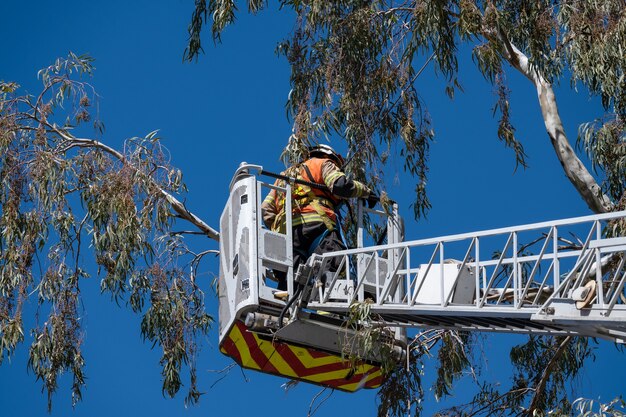 Feuerwehrmann bei der Baumrettung auf dem Leiterwagen.