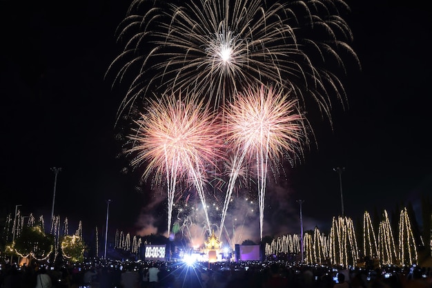 Feuerwerk am Neujahrstag