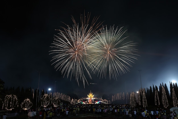 Feuerwerk im Neujahrsfeiertag