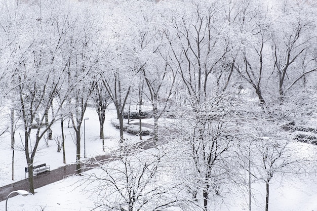 Öffentlicher Park mit verschneiten Bäumen im Winter in Madrid bei Tag