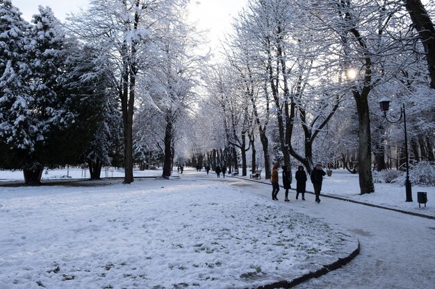 Öffentlicher Winterpark mit Schneekopierraum