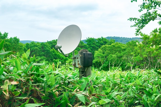 Öffentliches Satellitentelefon für Notfallkommunikation zwischen Bambusdickicht in der Wildnis des Reservats