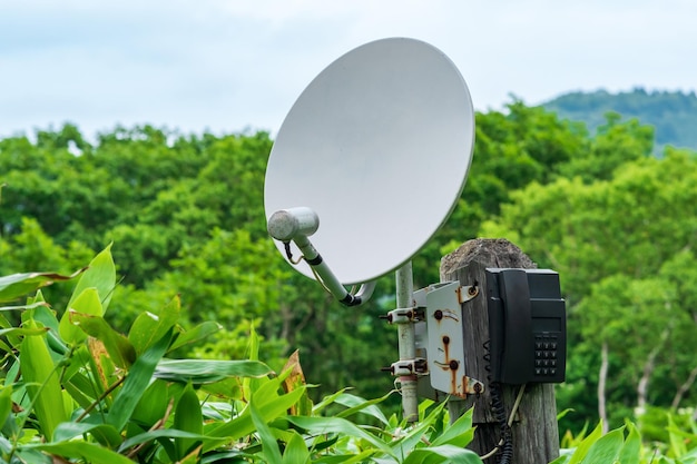 Öffentliches Satellitentelefon für Notfallkommunikation zwischen Bambusdickicht in der Wildnis des Reservats