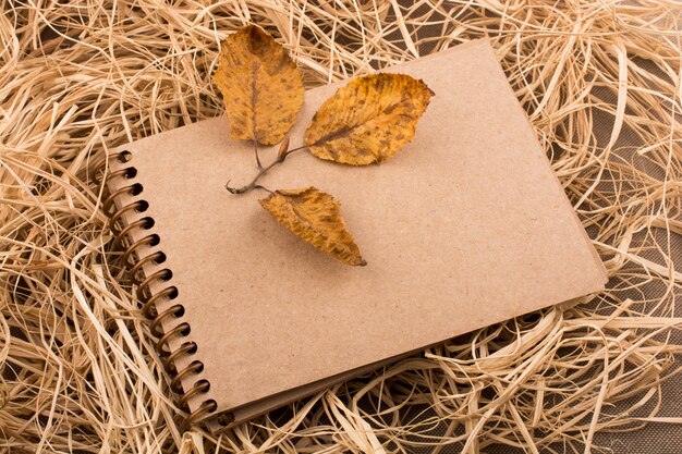 Öffnen Sie ein leeres Notizbuch mit gefallenen Herbstblättern