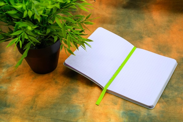Öffnen Sie Notizbuch für Anmerkungen und eine grüne Blume in einem Topf auf einem abstrakten Hintergrund