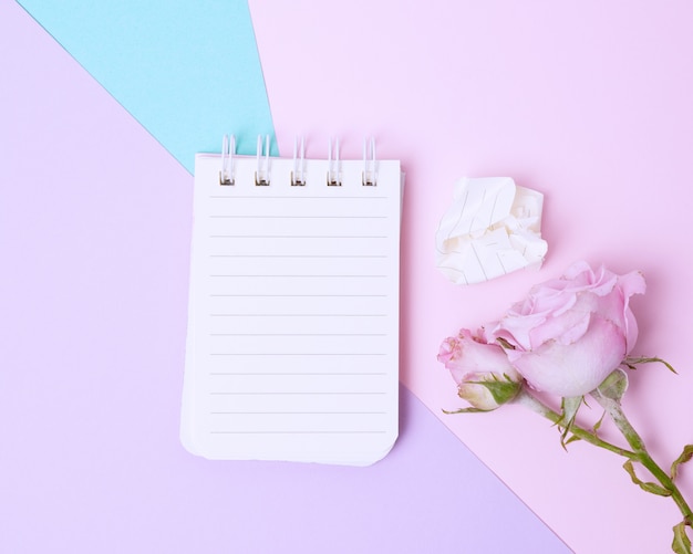 Öffnen Sie Notizbuch mit weißen Blättern und rosa Rose auf einem blauen rosa Hintergrund