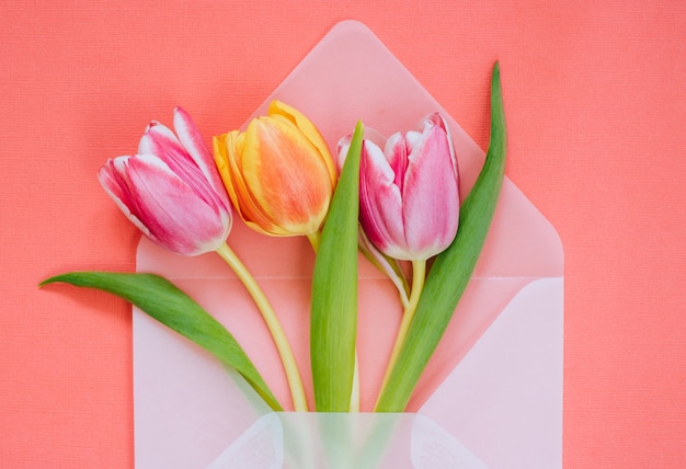 Öffnen Sie transparenten Mattumschlag mit bunten Tulpen auf lebendem korallenrotem Hintergrund