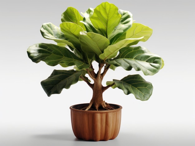 Fiddle Leaf Fig Ficus lyrata Studio Shot isolado em fundo claro IA generativa