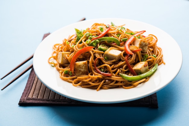 Fideos Schezwan hakka con paneer o requesón. Servido en un bol. enfoque selectivo