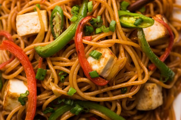 Fideos Schezwan hakka con paneer o requesón. Servido en un bol. enfoque selectivo