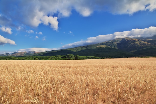 Foto fied en las montañas de bulgaria.