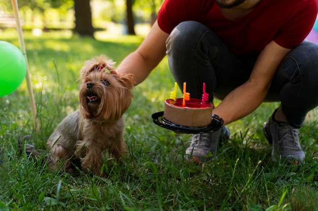 Foto fiesta de cumpleaños en la piscina para perros