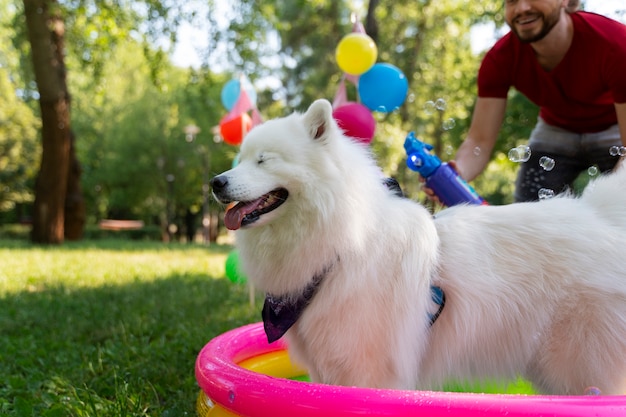 Foto fiesta de cumpleaños en la piscina para perros