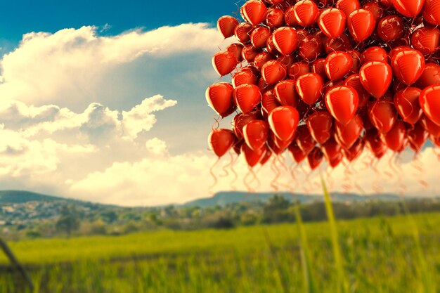Fiesta divertida y celebración Manojo de fondo de globos. Dreamscape al aire libre y globos.bola colorida