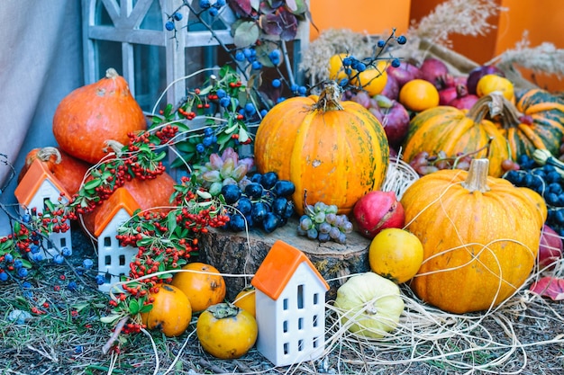 Fiesta de Halloween y calabazas de Halloween