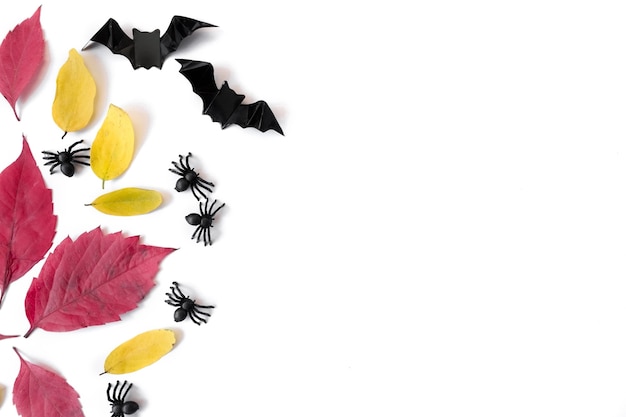 Foto fiesta de halloween, llanamente sobre un fondo blanco., hojas de otoño, murciélagos y arañas, copyspace.
