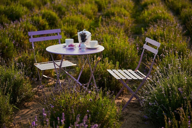 Fiesta de té al aire libre en un campo con flores de lavanda al atardecer