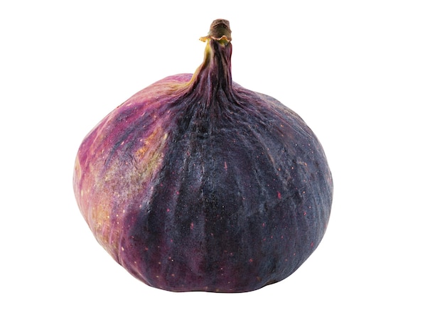 Figo roxo isolado em branco com espaço de cópia para texto ou imagens a pele de fruta doce e macia é muito fina h