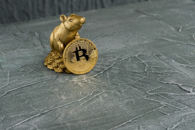 Figur der Weihnachtsratte Symbol des neuen Jahres 2020 mit goldener Bitcoins-Münze