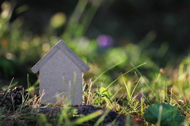 Figura casa en la naturaleza