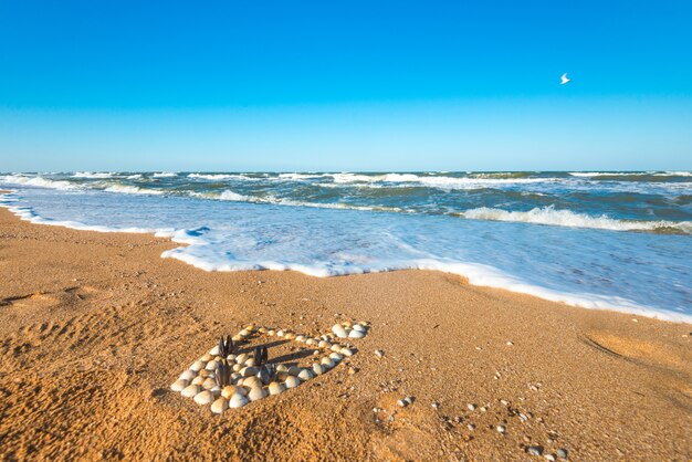 Figura de cóctel de conchas se encuentra en la playa