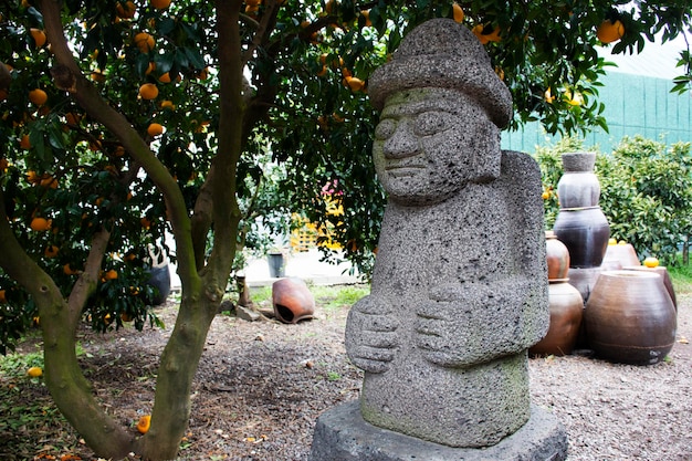 Foto figura de dol hareubangs ou estátua de tol harubangs na plantação de laranjas de tangerina hallabong planta de frutas parque de jardim de árvores para o povo coreano viajantes estrangeiros visitam a ilha de jeju na coreia do sul