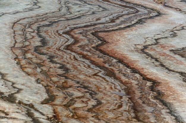 Figura de sal en el mar muerto en Jordania