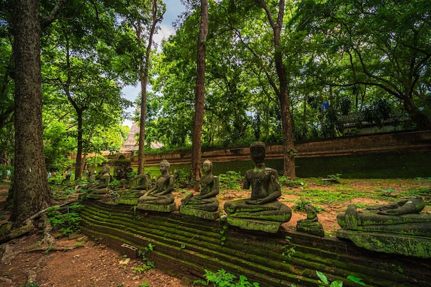 Figuras antiguas de buda Wat Umong Suan Puthatham es un templo budista en el centro histórico y es un templo budista es una importante atracción turística con naturaleza de bosque verde en Chiang MaiTailandia