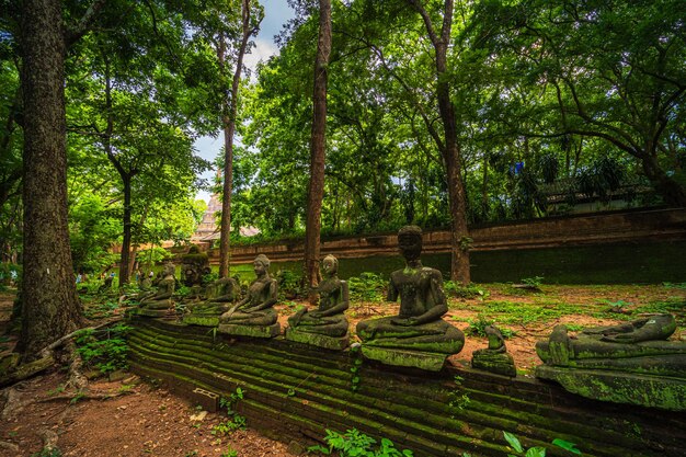 Figuras de buda antigas Wat Umong Suan Puthatham é um templo budista no centro histórico e é um templo budista é uma grande atração turística com natureza de floresta verde em Chiang MaiTailândia