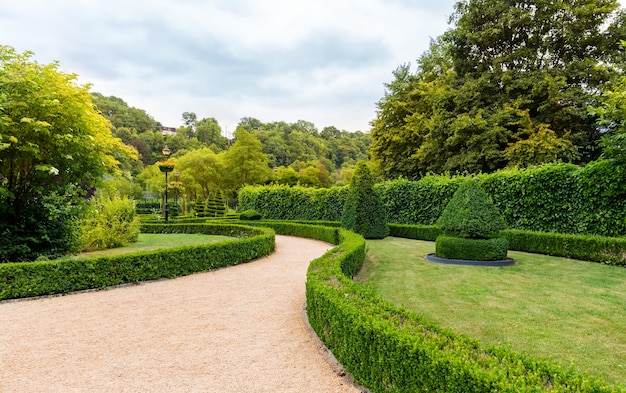 Foto figuras em forma de redemoinho e cone dos arbustos, parque de verão na europa. jardinagem profissional, paisagem verde europeia, decoração de plantas de jardim