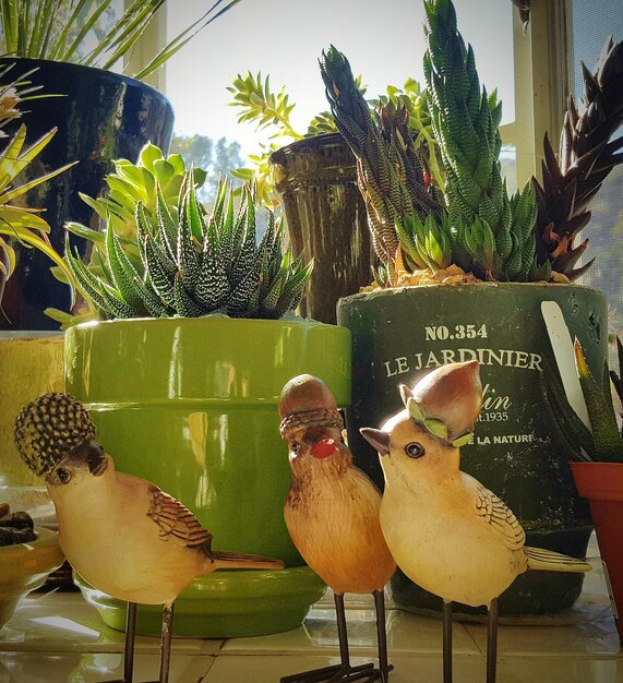 Foto figuritas de pájaros junto a plantas en maceta en el alféizar de la ventana