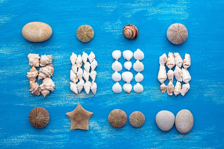 Foto fije el marco decorativo del shell del mar para el texto
