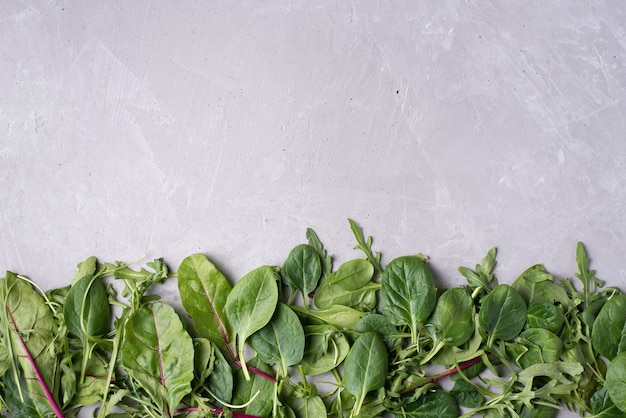 Fila de borde de vegetales de hojas frescas: espinacas, remolacha, rúcula en el gris