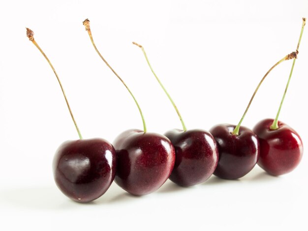 Fila de cerezas recién cosechadas sobre fondo blanco.