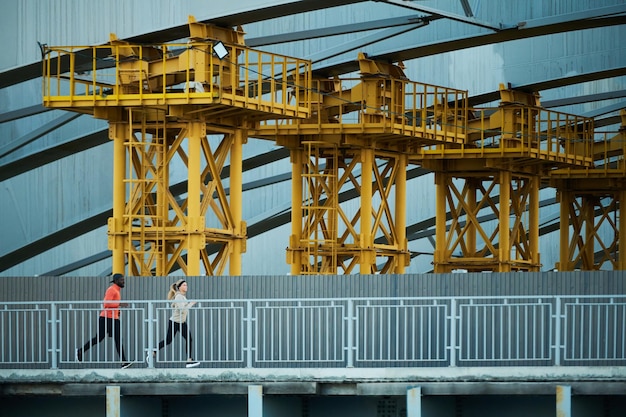 Fila de enormes construcciones arquitectónicas a lo largo del puente con dos corredores