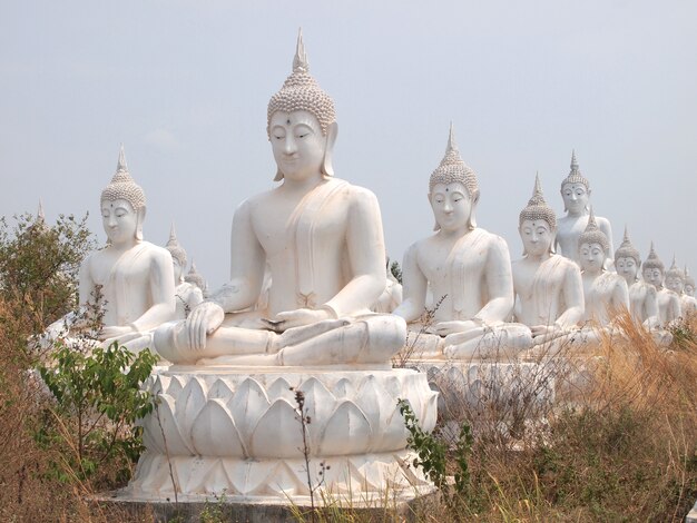 Fila de la estatua blanca de Buda en el campo para la adoración.