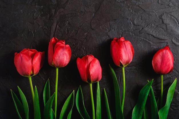 Fila de flores de tulipán sobre fondo negro con textura, vista superior copia espacio