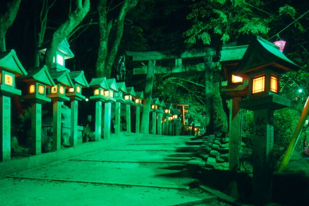 Una fila iluminada de linternas japonesas en el jardín por la noche