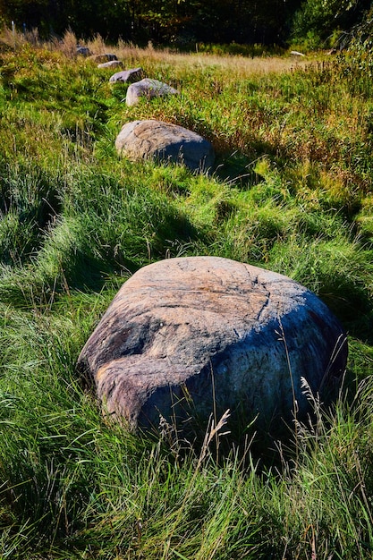 Fila de rocas grandes espaciadas con hierba ondulada alrededor