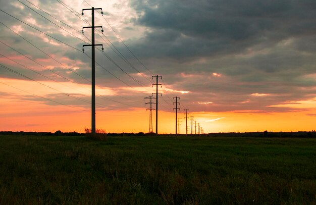 Fila de siluetas de postes de energía eléctrica en el campo con hierba verde al atardecer colorido