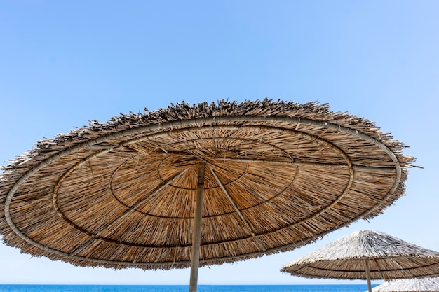 Una fila de sombrillas paradas en la playa