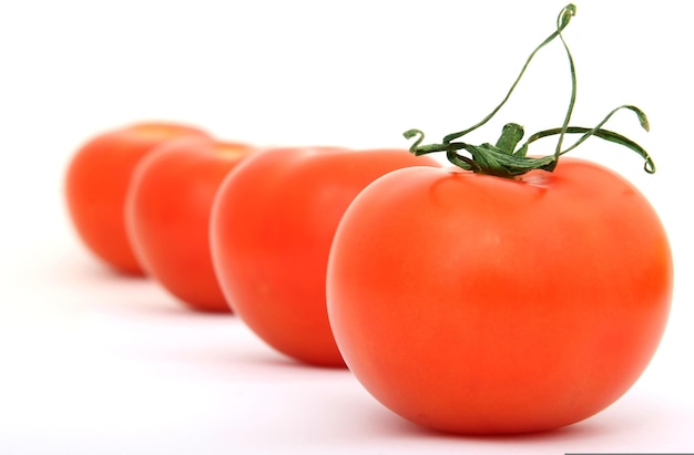 una fila de tomates rojos con un fondo blanco.