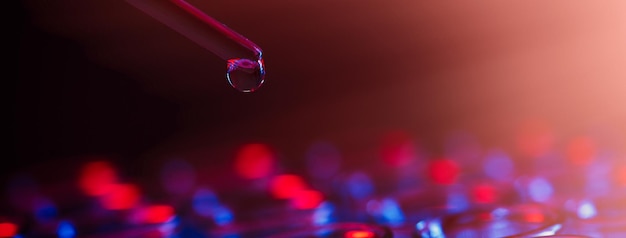 Fila de tubos de ensayo Concepto de gota líquida de laboratorio médico o científico con cuentagotas en fondo de tono rojo azul de cerca imagen de micro fotografía