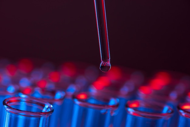 Fila de tubos de ensayo Concepto de gota de líquido de laboratorio médico o científico con cuentagotas en fondo de tono rojo azul primer plano fotografía macro