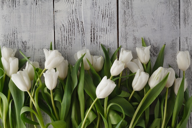 Fila de tulipanes blancos frescos de primavera Ñ ‰ Ð¸ mesa de madera