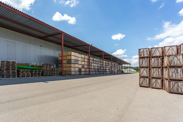 Filas de cajas de madera, cajas y palés para frutas y verduras en almacenamiento, almacén de producción, industria de plantas